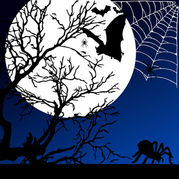 spider and bat on the moonlight illustration