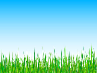 Fototapeta na wymiar Seamless grass on a blue sky background