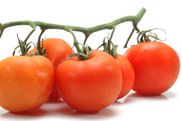 Tomates