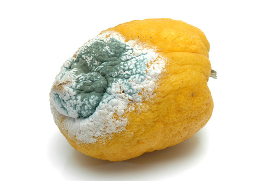 Limon podrido