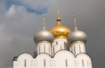Novodevichy Convent Domes
