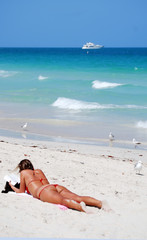 Beauty and the Beach