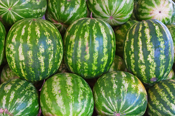 Ripe big water-melons