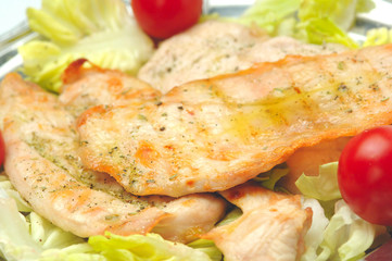 Pollo