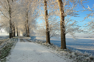 icy slippery road on dutch dike