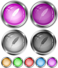 Feather. Vector internet buttons.