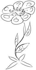 Sketch Flower