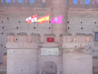 Castillo de la Mota (Detalles entrada)