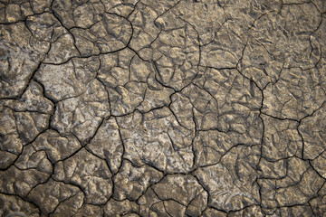 Textured dry ground of a salt lake