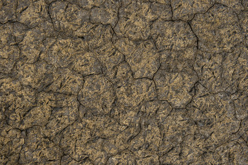 Textured dry ground of a salt lake