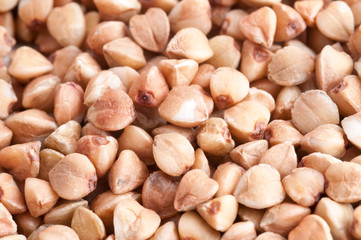 Buckwheat background