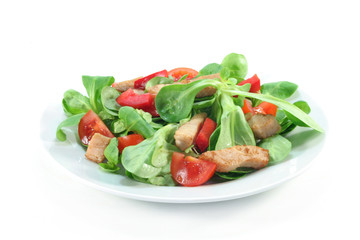 Gemischter Salat mit Hähnchenstreifen