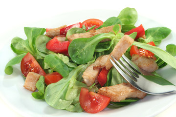 Gemischter Salat mit Hähnchenstreifen