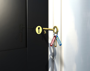 Key to government © philhol