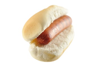 hot dog