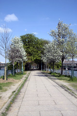 Promenade sur la Seine, Paris