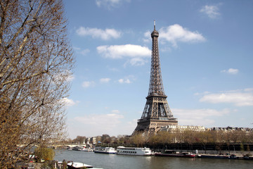 Fototapeta na wymiar Arbuste et Tour Eiffel