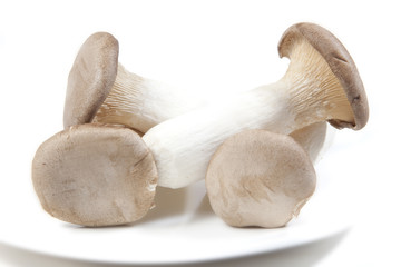 FRISCH GEPFLÜCKTE PILZE