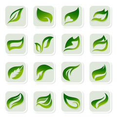 leaf icons
