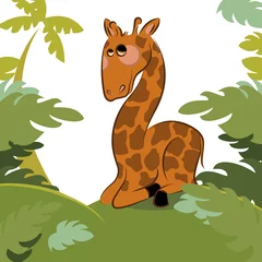 Papier Peint photo Lavable Zoo girafe dans la jungle