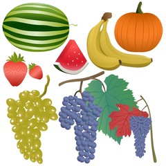 Fruits and berries set