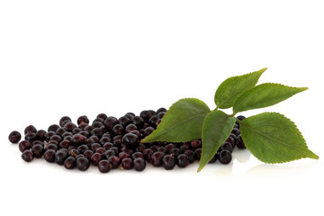 Elderberry Fruit