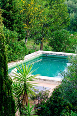 Beautiful old pool in garden surrounded by trees
