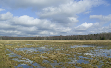 Flood on the field, spring.