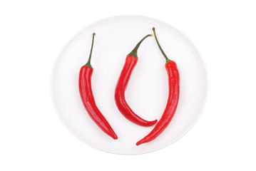 Red hot chili pepper on white dish