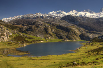 Vista del lago Ercina.