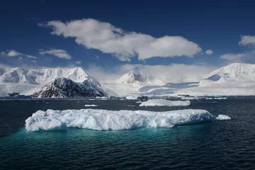 Fotobehang Antarctica ijsberg © Evan Hoffbuhr