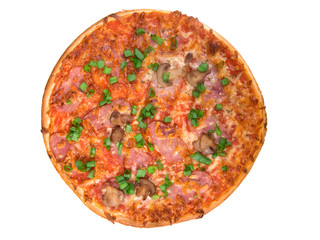 Pizza on white background