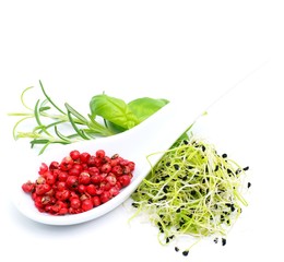 Aromastoffe - Roter Pfeffer