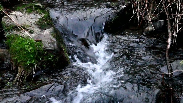 wildbach
