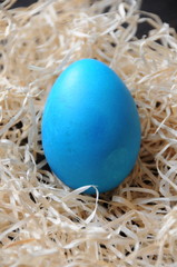Blaues Ei im Strohnest