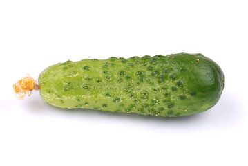 Green cucumber isolated on white