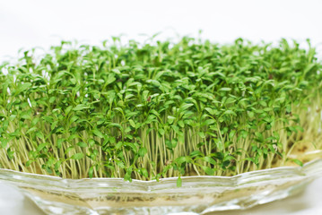green cress