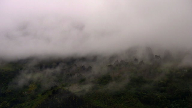 MONTA&Ntilde;A CON NIEBLA 04