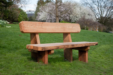 Wooden bench on grass - 21886712