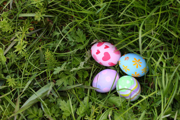 Easter eggs in spring grass