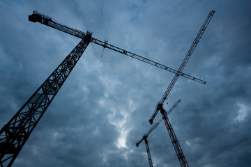 Three cranes under a stormy sky