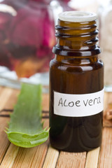 aloe vera