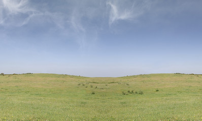 Obraz premium field landscape with a lonely tree on the right