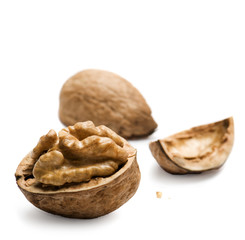 Walnut