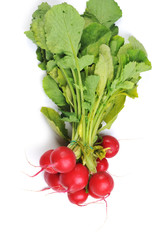 red radish
