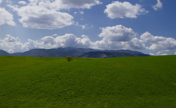 Paesaggio Landscape