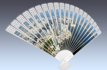 Fan of Miami, Florida