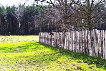 fence