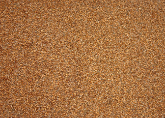 A Background Image of Wheat Grain Granules.