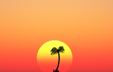 palmier et soleil